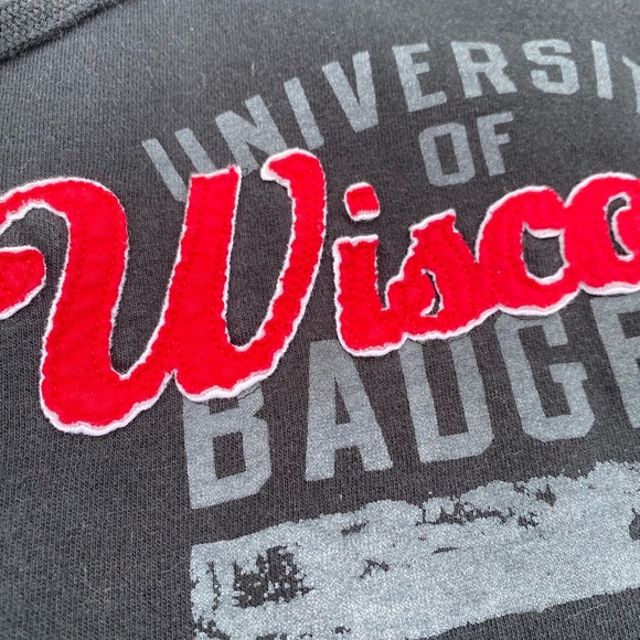 University of Wisconsin Cropped Sweatshirt - Picture 3 of 3